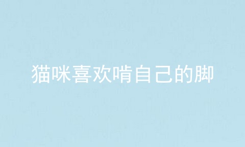 猫咪喜欢啃自己的脚