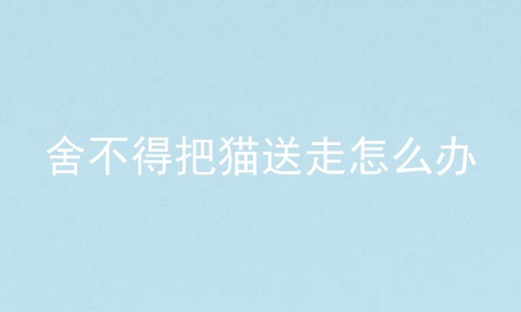 舍不得把猫送走怎么办