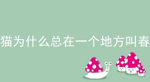 猫为什么总在一个地方叫春