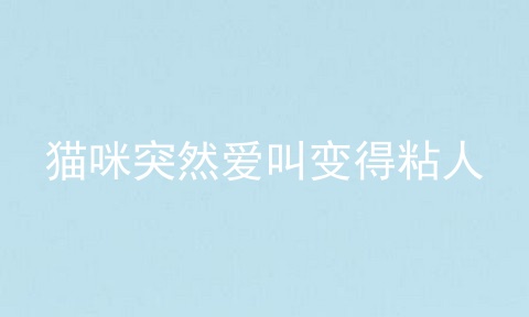 猫咪突然爱叫变得粘人