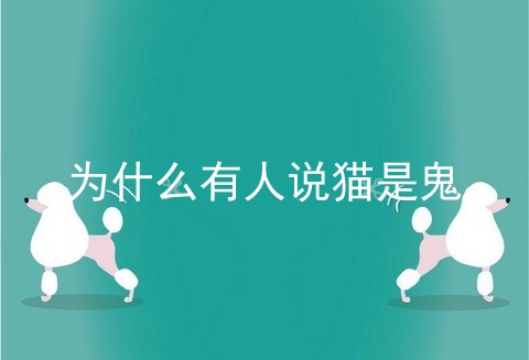 为什么有人说猫是鬼