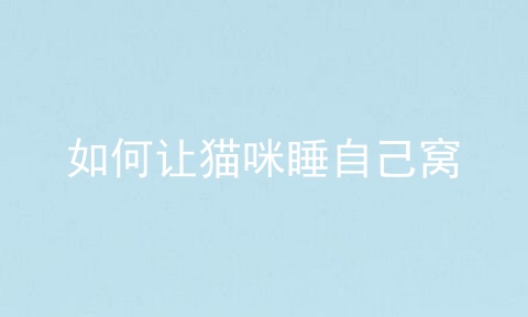 如何让猫咪睡自己窝