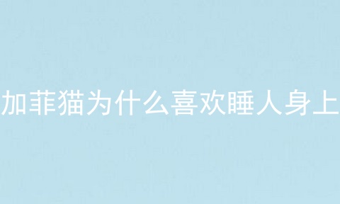 加菲猫为什么喜欢睡人身上