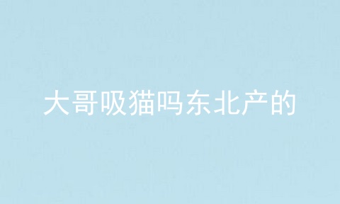 大哥吸猫吗东北产的