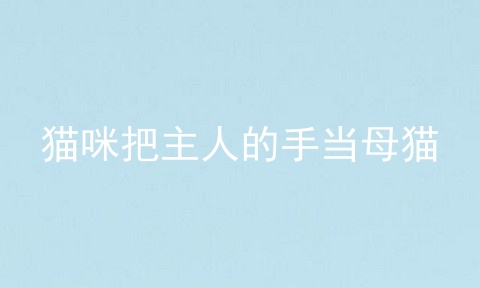 猫咪把主人的手当母猫