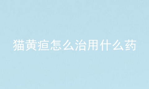 猫黄疸怎么治用什么药
