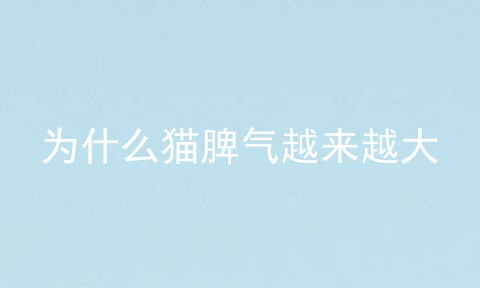 为什么猫脾气越来越大