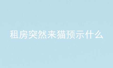 租房突然来猫预示什么