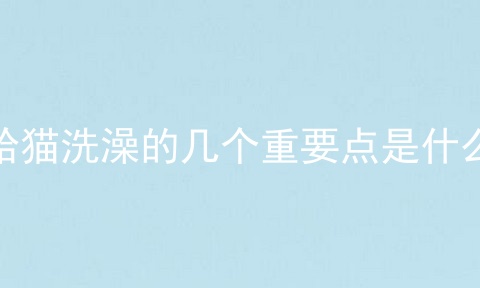 给猫洗澡的几个重要点是什么