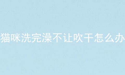 猫咪洗完澡不让吹干怎么办
