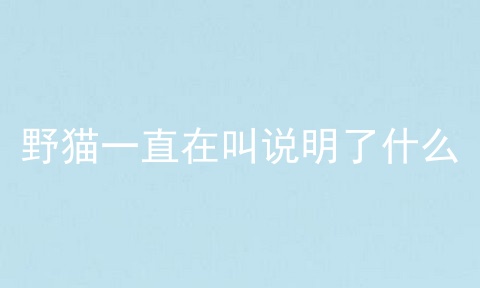 野猫一直在叫说明了什么