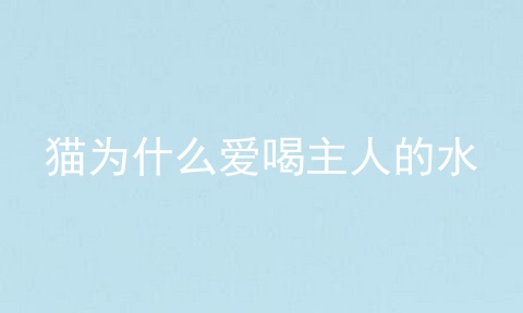 猫为什么爱喝主人的水
