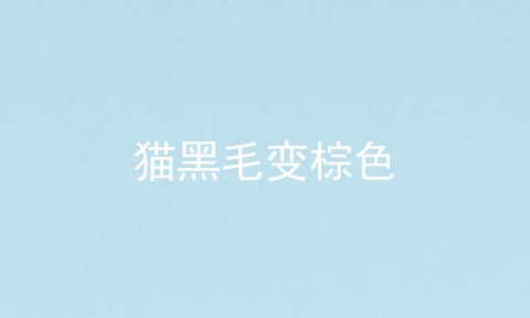 猫黑毛变棕色