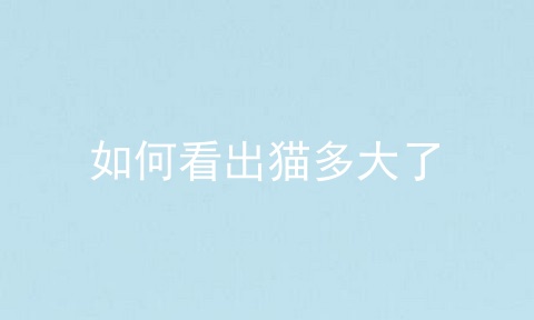 如何看出猫多大了