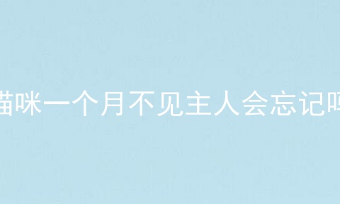 猫咪一个月不见主人会忘记吗