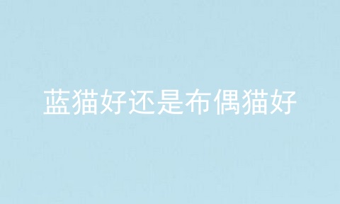 蓝猫好还是布偶猫好