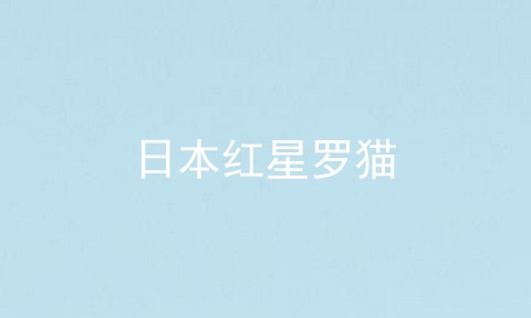 日本红星罗猫
