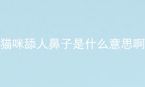 猫咪舔人鼻子是什么意思啊