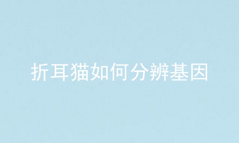 折耳猫如何分辨基因