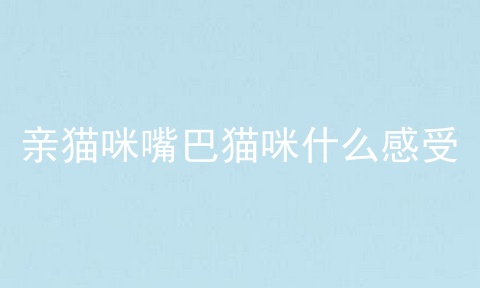 亲猫咪嘴巴猫咪什么感受