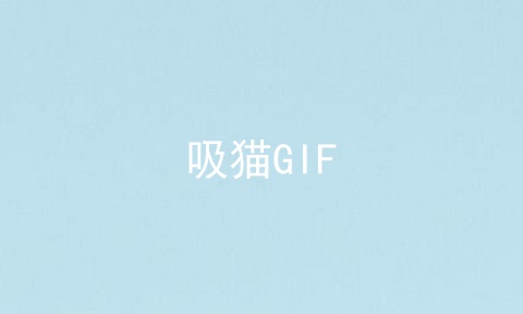 吸猫GIF