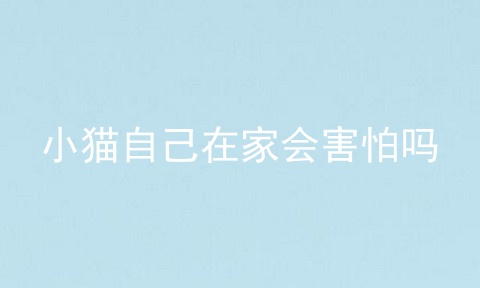 小猫自己在家会害怕吗