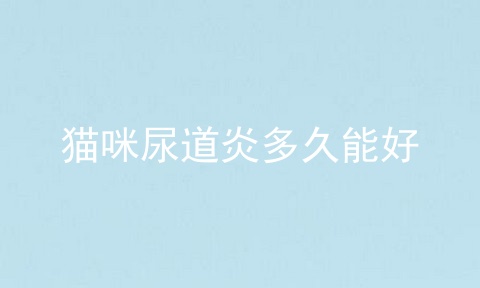 猫咪尿道炎多久能好