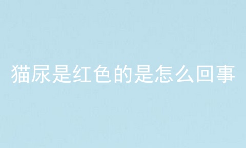 猫尿是红色的是怎么回事