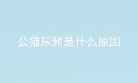 公猫尿频是什么原因