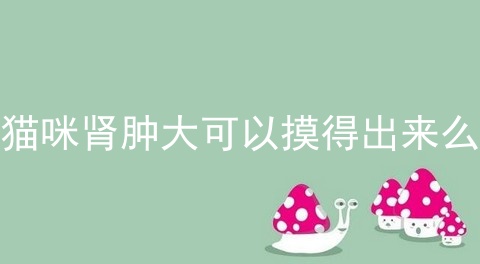 猫咪肾肿大可以摸得出来么