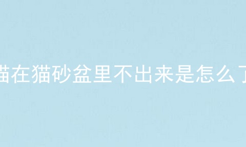 猫在猫砂盆里不出来是怎么了