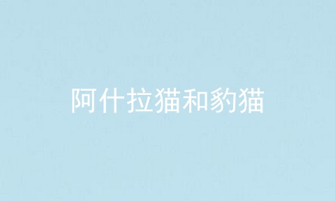 阿什拉猫和豹猫