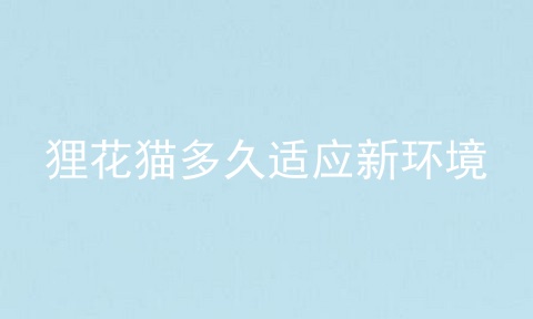 狸花猫多久适应新环境