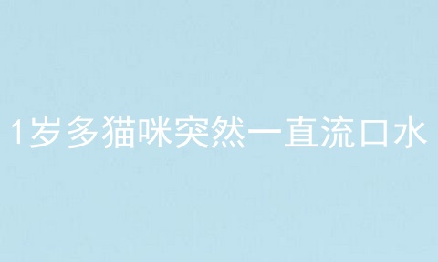 1岁多猫咪突然一直流口水