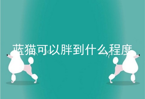 蓝猫可以胖到什么程度