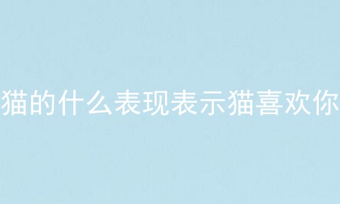 猫的什么表现表示猫喜欢你