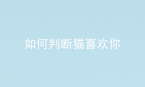 如何判断猫喜欢你