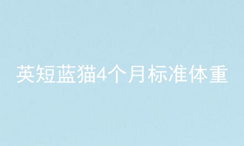 英短蓝猫4个月标准体重