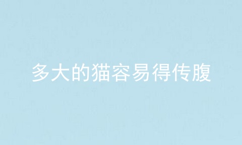 多大的猫容易得传腹