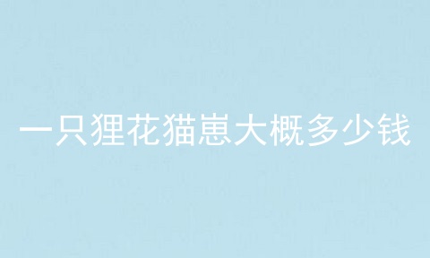 一只狸花猫崽大概多少钱