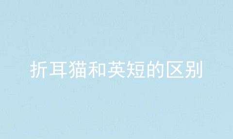 折耳猫和英短的区别
