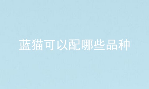 蓝猫可以配哪些品种
