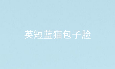英短蓝猫包子脸