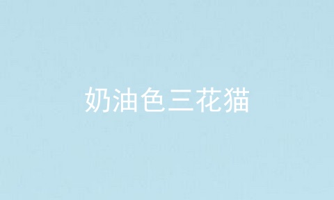 奶油色三花猫