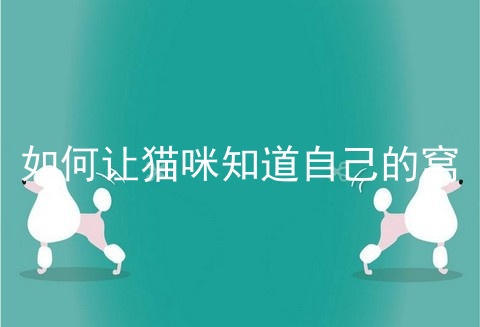 如何让猫咪知道自己的窝
