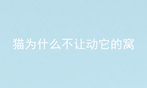 猫为什么不让动它的窝