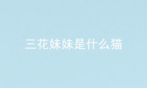 三花妹妹是什么猫