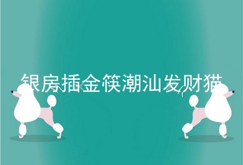 银房插金筷潮汕发财猫