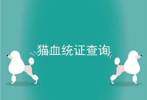 猫血统证查询