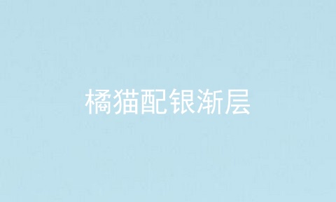 橘猫配银渐层